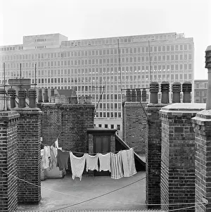 Pots: Alexandra Buildings, Palace Street