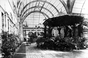 Bruce Castle Museum: Alexandra Palace Conservatory