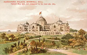Consumed: ALEXANDRA PALACE/POSTCARD