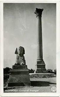 Jan16: Alexandria, Egypt - Pompey's Column (Pillar) and Sphinx