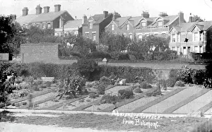 Exeter: Alexanrda Terrace from Belmont, Exeter, Devon