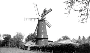 Alford: Alford, the Mill c1955