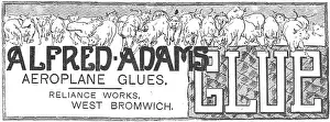 Glues: Alfred Adams Aeroplane Glues