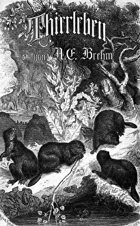 Brehm: Alfred Edmund Brehm