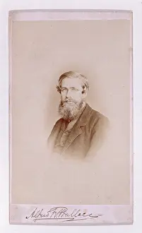 Russel: Alfred Russel Wallace (1823-1913)