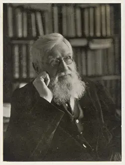 Haines: Alfred Russel Wallace