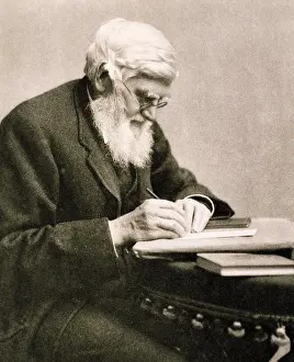 Anthropologist: Alfred Russel Wallace, Welsh Naturalist