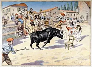 Alfresco: ALFRESCO BULLFIGHT