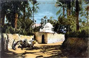 Marabout: ALGERIA/ALGIERS MARABOUT