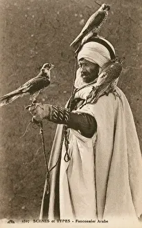 Maghreb: Algeria - Arabian Falconer