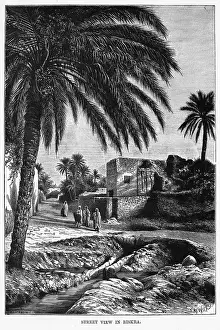 Biskra: ALGERIA BISKRA