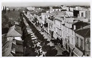 Blida: Algeria - Blida - Boulevard Trumelet