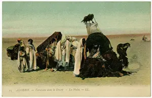 Ventilation: Algeria - Camel Transport