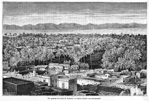Laghouat: ALGERIA OASIS