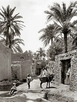 Biskra: Algeria, a street in old Biskra