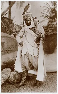 Peregrine: An Algerian Falconer