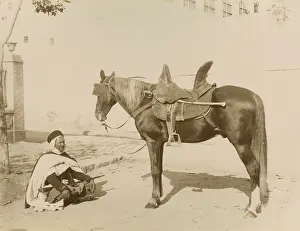 Tanger: An Algerian with his horse. Algiers. Algeria