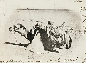 Saharan: An Algerian Man prays alongside his camel