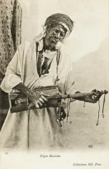 Strumming: Algerian Musician