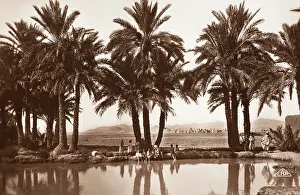 Biskra: Algerian Oasis - Biskra