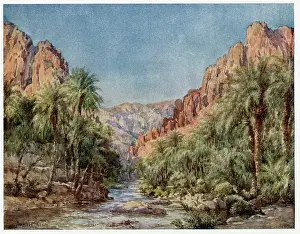 Rarest: ALGERIAN SCENERY