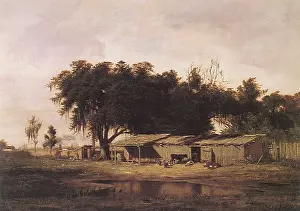 Louisiana: Back of Algiers
