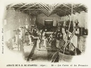 Winemaking: Algiers - Grape Pressing by monks