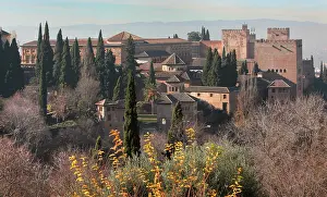 Nazrid: Alhambra, Granada, Andalusia, Spain