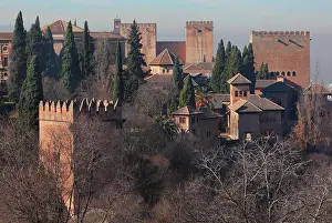 Nazrid: Alhambra, Granada, Andalusia, Spain