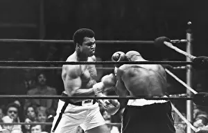 Competitor: Ali-Shavers Fight