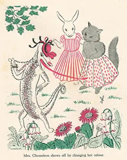 Alican: Alican Land, Mrs. Chameleon