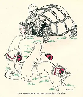 Alican: Alican Land, Tom Tortoise