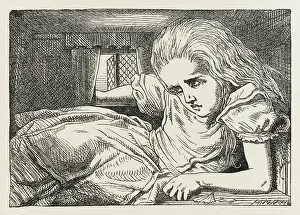 Shrinks: ALICE GROWS IN HOUSE