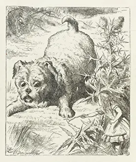 Shrunk: ALICE & PUPPY