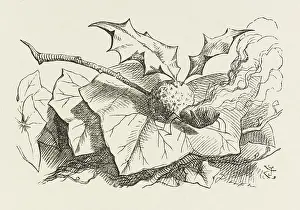 Raisin: ALICE/SNAP-DRAGON-FLY