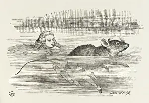 Swims: ALICE/THE POOL OF TEARS