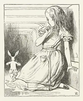 Disappear: Alice watches Rabbit