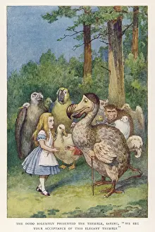 Acceptance: Alice in Wonderland and the Dodo