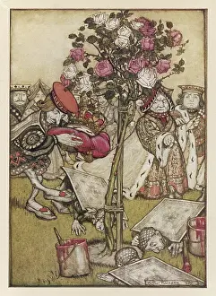 Knave: Alice:Rose-Garden, Cards