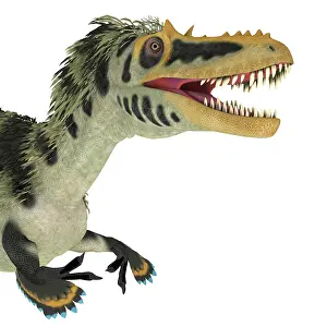 Menacing: Alioramus dinosaur head