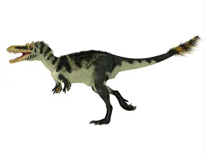 Menacing: Alioramus dinosaur, side profile