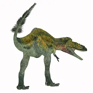 Alioramus: Alioramus dinosaur, rear view
