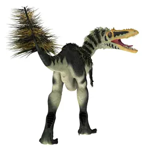 Menacing: Alioramus dinosaur, rear view