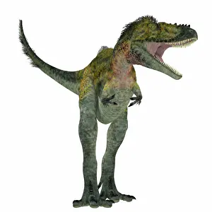 Alioramus: Alioramus dinosaur, front view