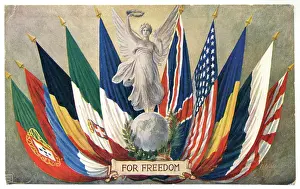 Rallying: All the flags of the Allies fanned out