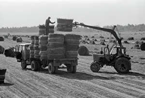 Bales: All-Soviet Union Research Institute of flax