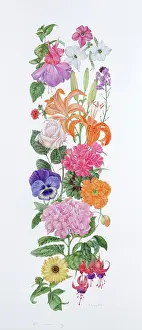 Fuchsia: All Summer Long ? flower design