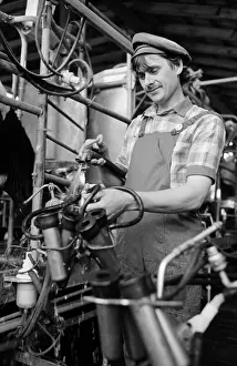 Operators: All Union Competition of Machine Milking Operators