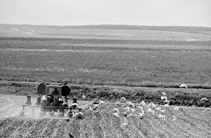 Irrigation: All-Union Gagarin student construction brigade