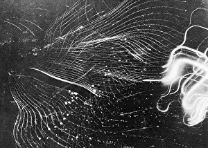 Gomorrah: Allied air attack on Hamburg, 1943